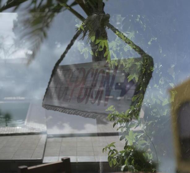 Los Amigos Nest Hostel