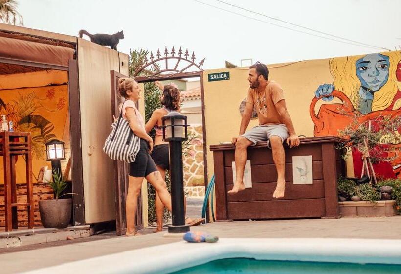 Los Amigos Nest Hostel