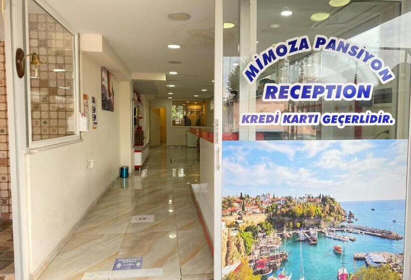 Mimoza Pansiyon