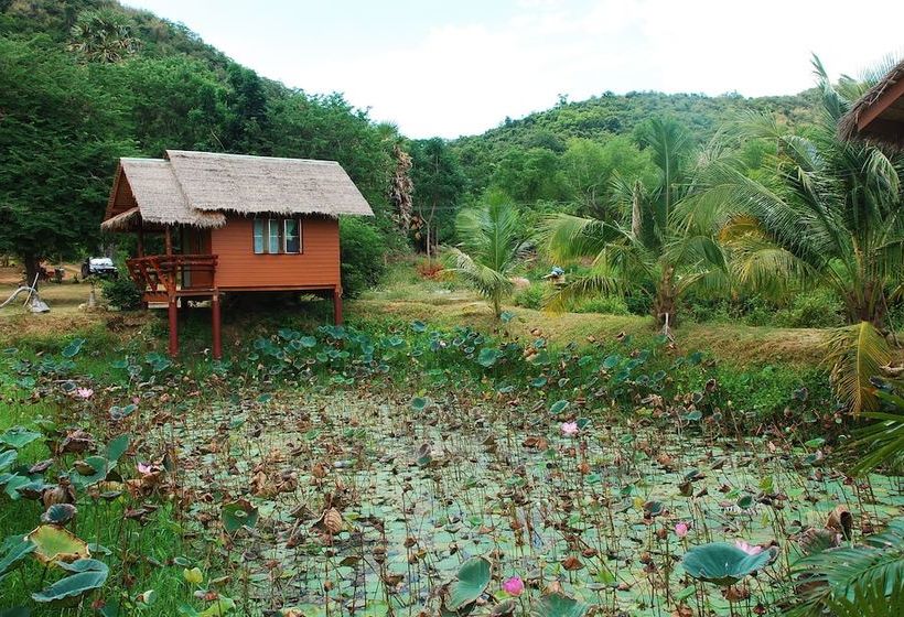 هاستل Cbt Thung Samroiyod