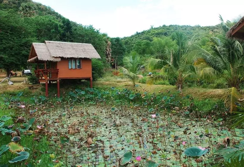 هاستل Cbt Thung Samroiyod