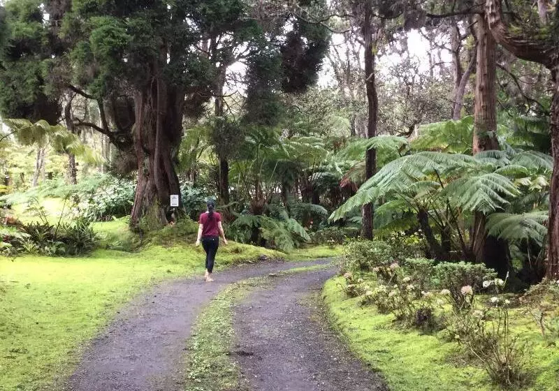 Hale  Ohu Bed & Breakfast