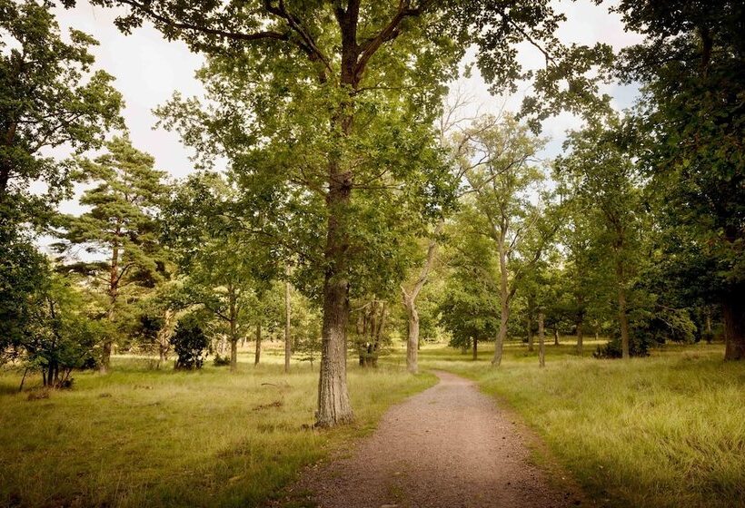 هتل First Camp Stensokalmar