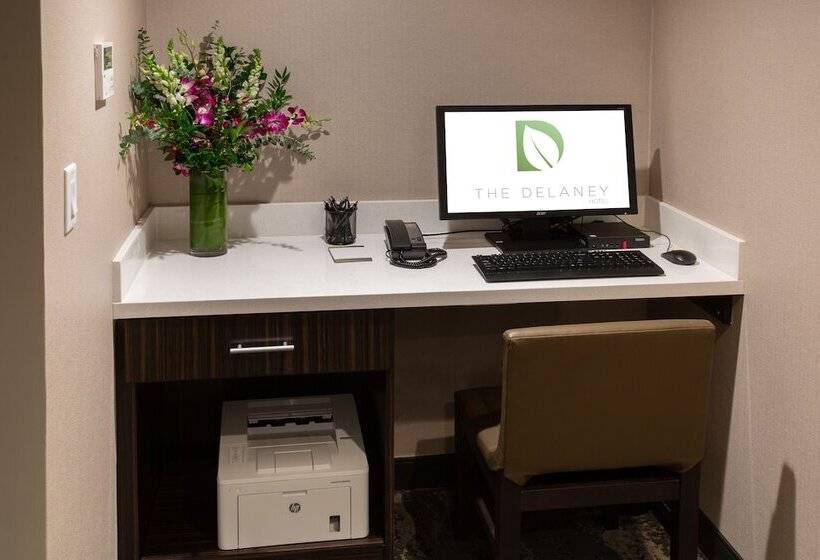هتل The Delaney