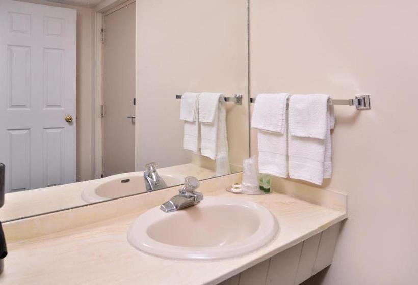 Мотель Red Carpet Inn