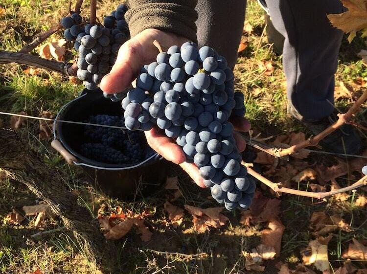 پانسیون Château La Renommée