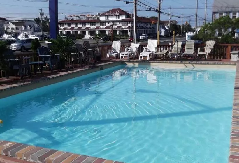 Sea Horse Motel