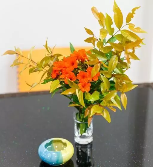 ペンション Bangtao Guest House