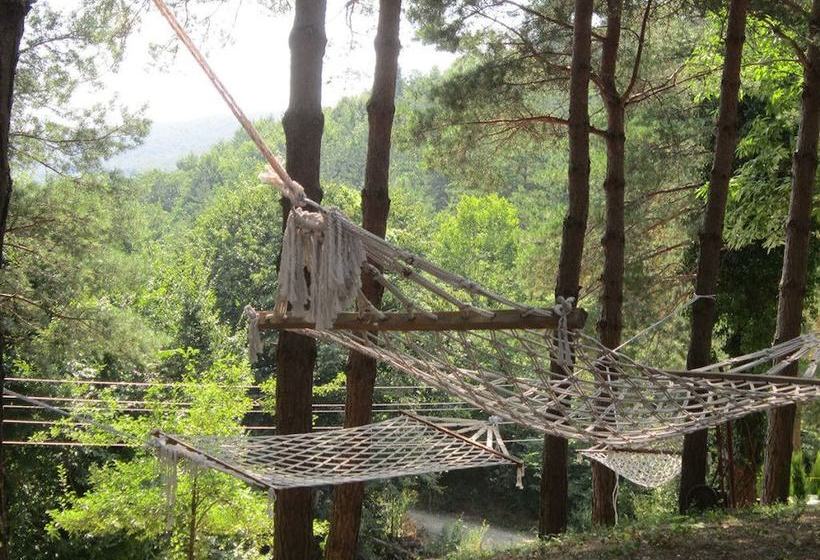 Sapanca Villa Natura