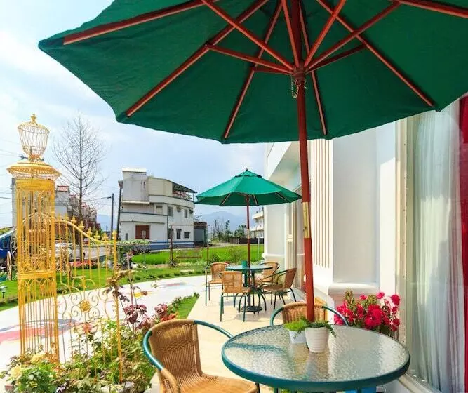 Alice Wonderland B&b