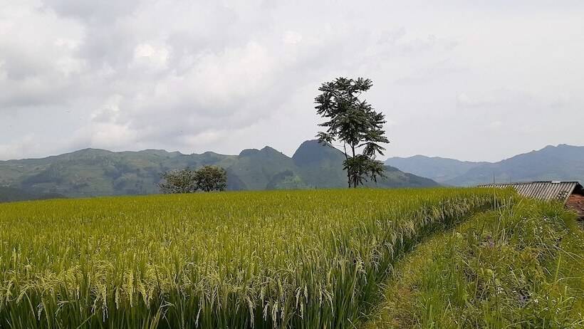 تختخواب و صبحانه Sa House Bac Ha