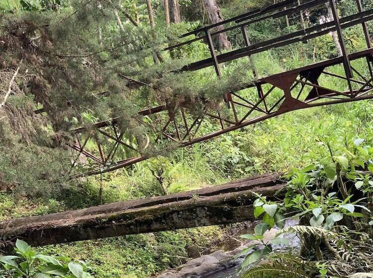 فندق Babylon Lodge