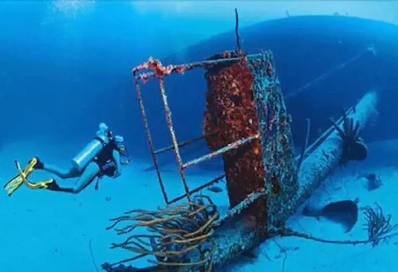 هتل La Cabane De Bob   Saint Raphael