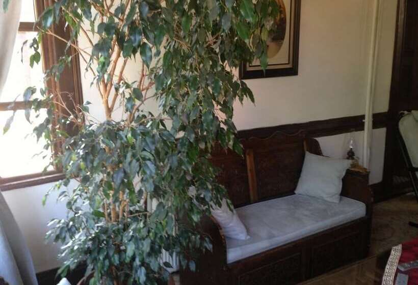 هتل Sinan Bey Konagi Special Class