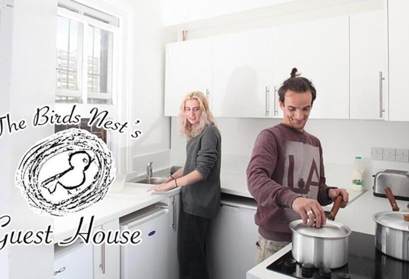 The Birds Nest Hostel