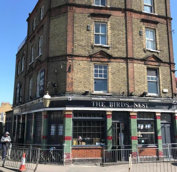 The Birds Nest Hostel