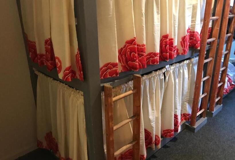 The Birds Nest Hostel