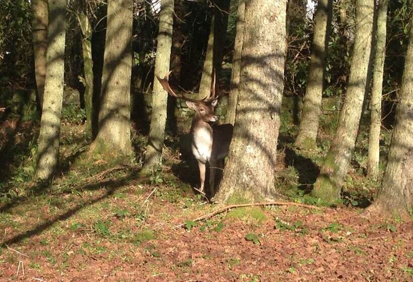 Birch Lodge 19 With Hot Tub