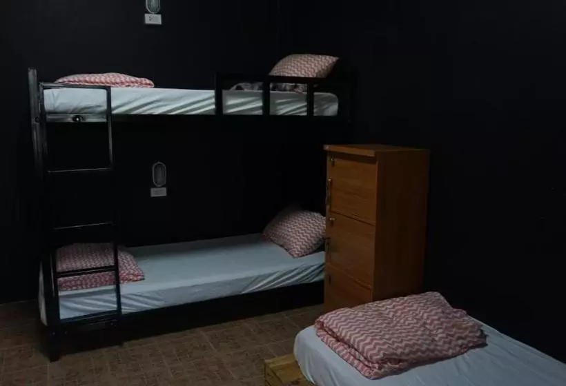 Carrot On The Moon Hostel