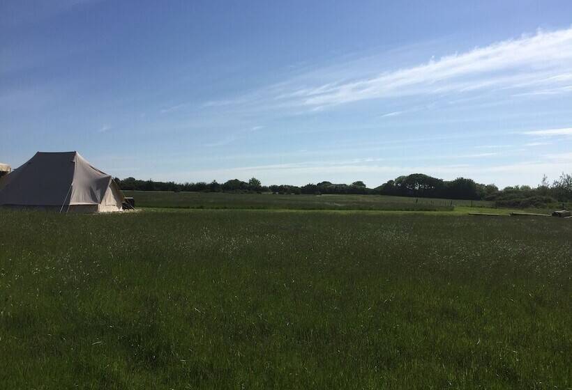 Glampotel Lizard Point