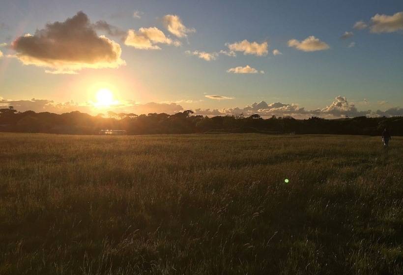 Glampotel Lizard Point