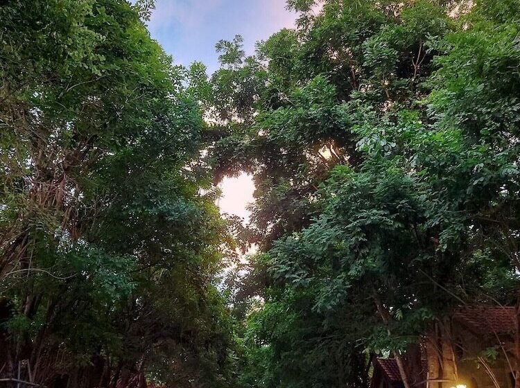 ホテル Fantasy Resort