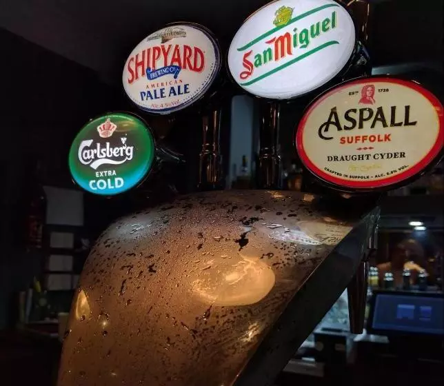 هتل The Boars Head