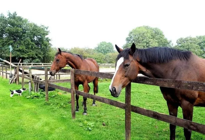 Little Rushbrook Cottages