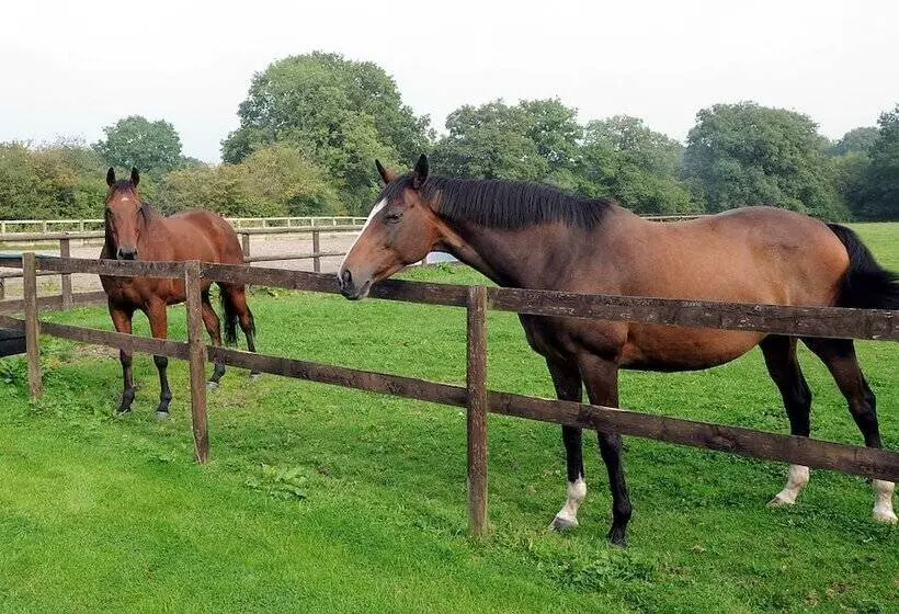 Little Rushbrook Cottages