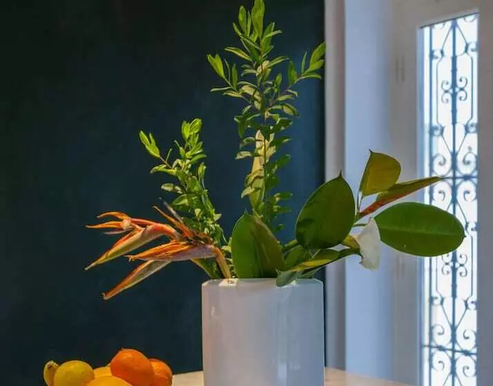 پانسیون Dar El Gaied