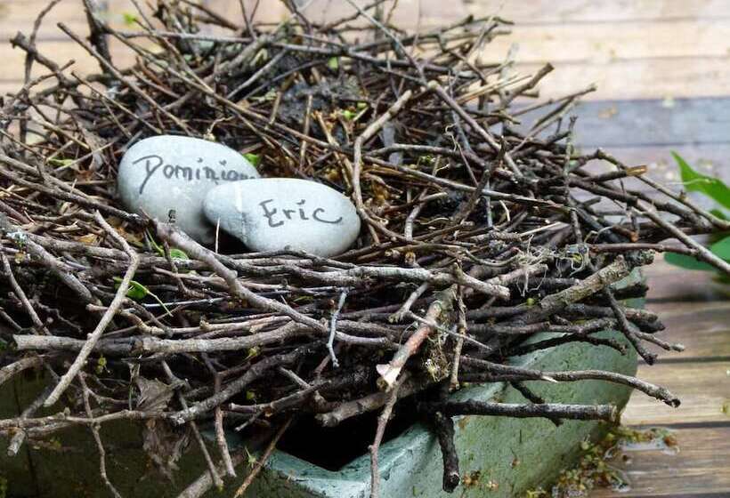 Пансион Le Nid D'omer