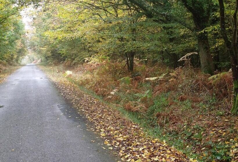 Пансион Le Nid D'omer