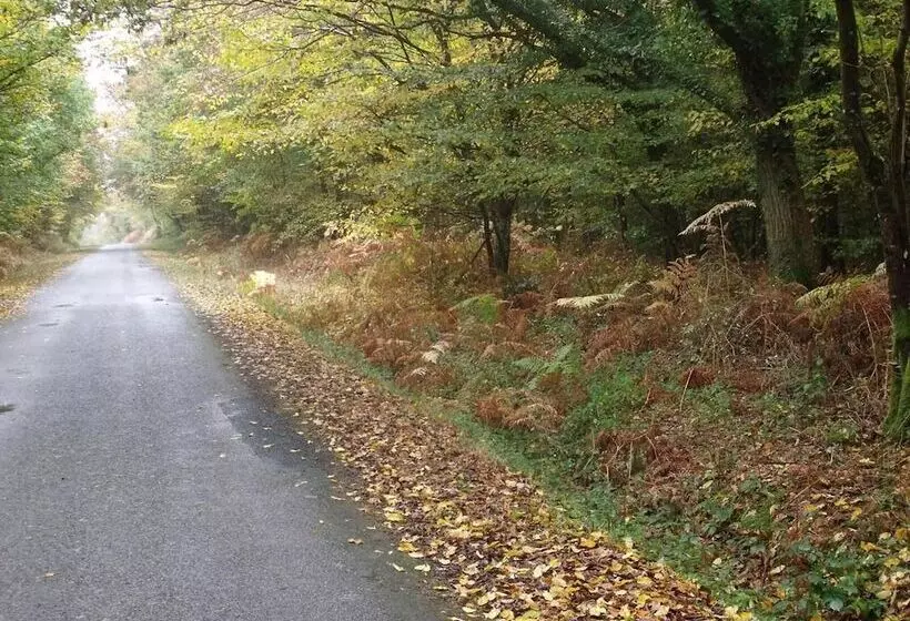 Majatalo Le Nid D'omer