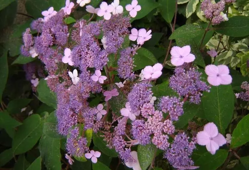 Majatalo Le Nid D'omer