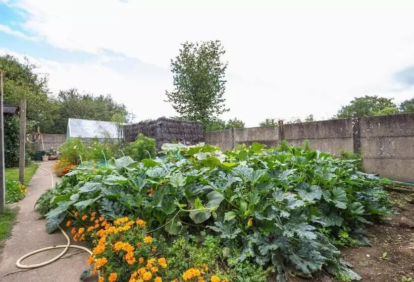 Majatalo Le Nid D'omer