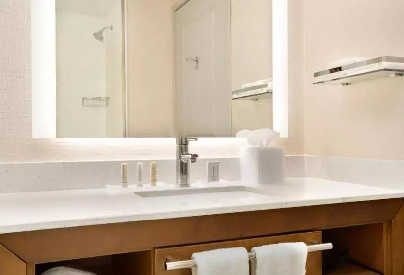 Residence Inn By Marriott Phoenix Chandler/south