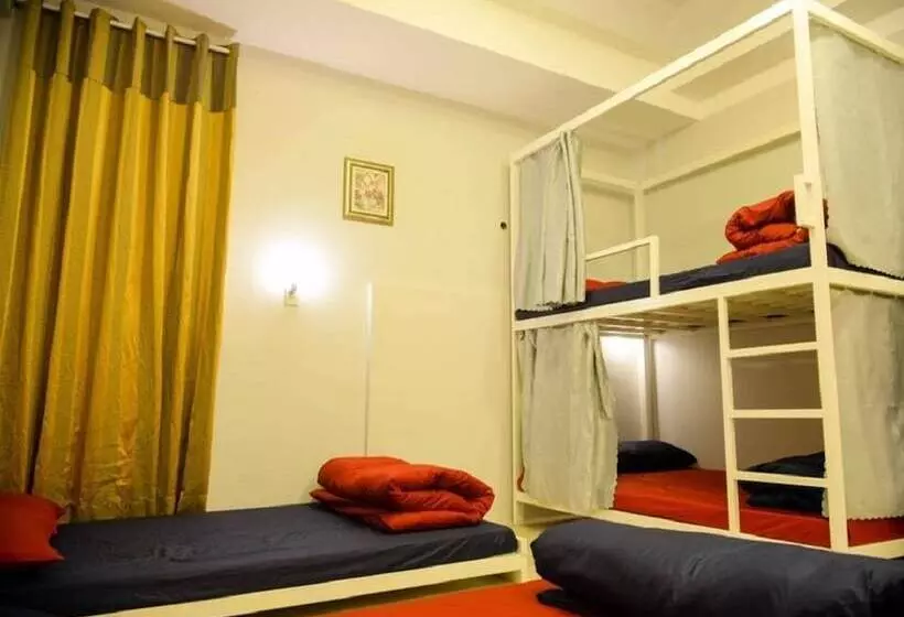 Bonjour Homestay   Hostel