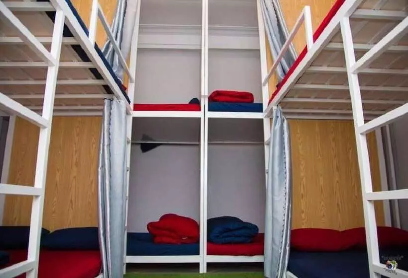 Bonjour Homestay   Hostel