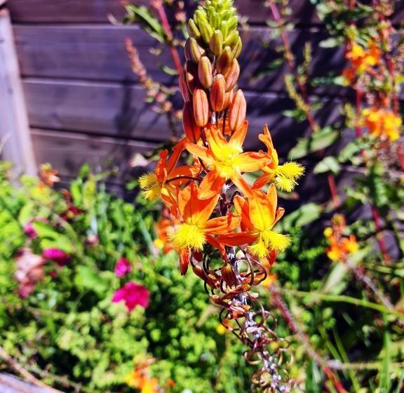 הוסטל La Maison Bisca