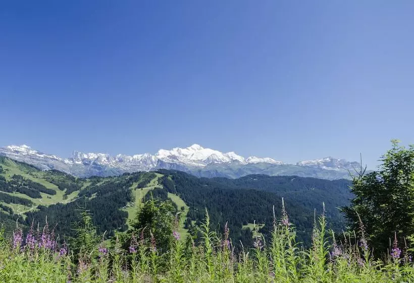 Chalet Bluebell