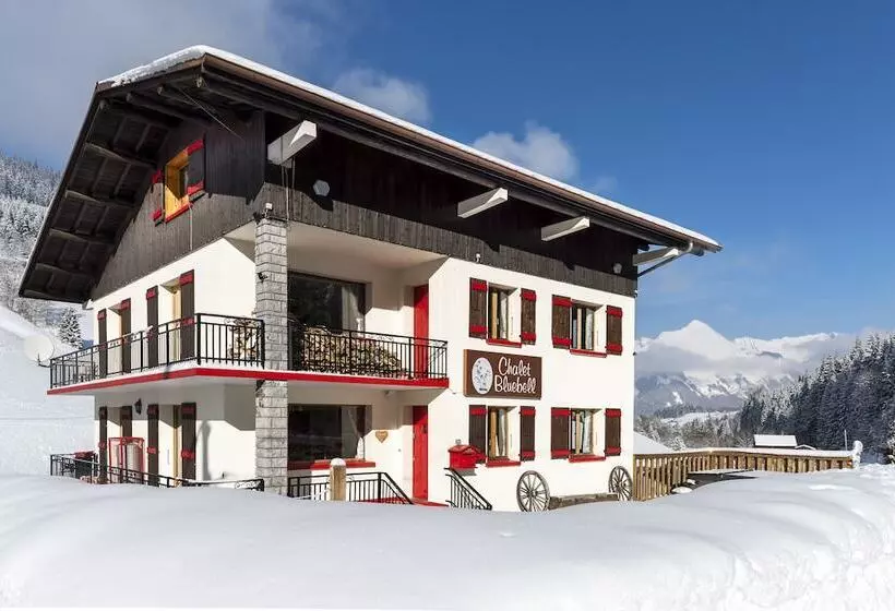 Chalet Bluebell