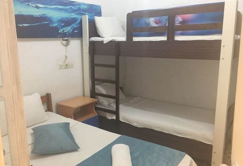 酒店 Devran Pansiyon