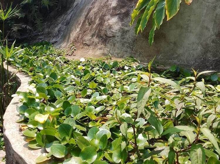 هتل Khaokho Rabiangphu Resort