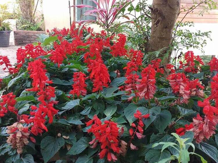 هتل Khaokho Rabiangphu Resort