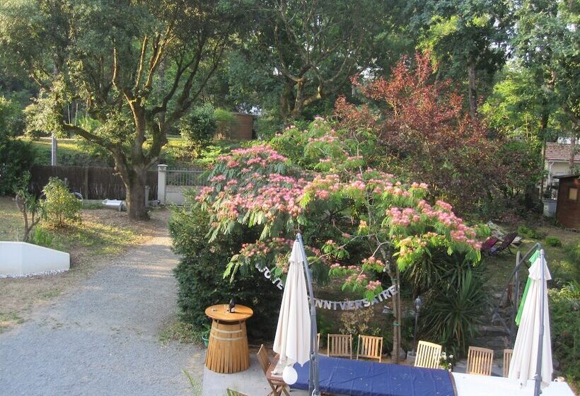 پانسیون Brevocean