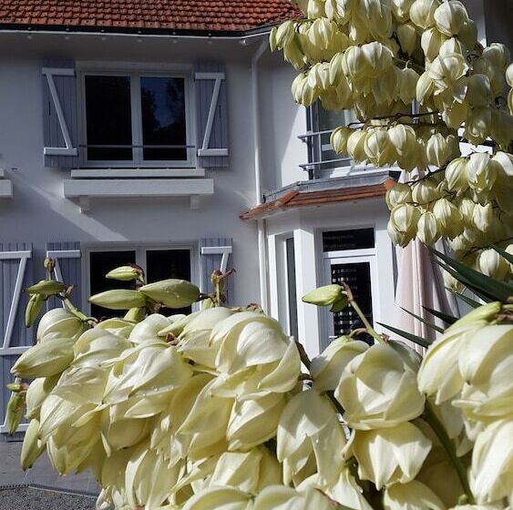 پانسیون Brevocean