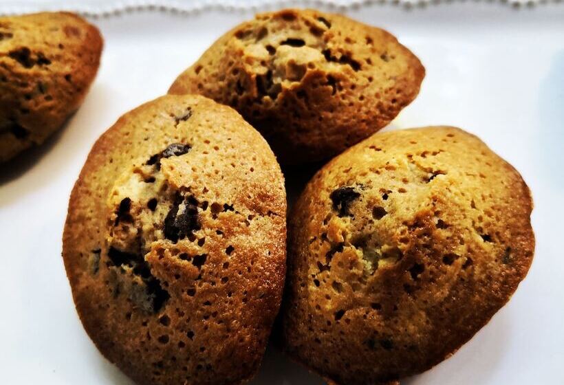 پانسیون Brevocean