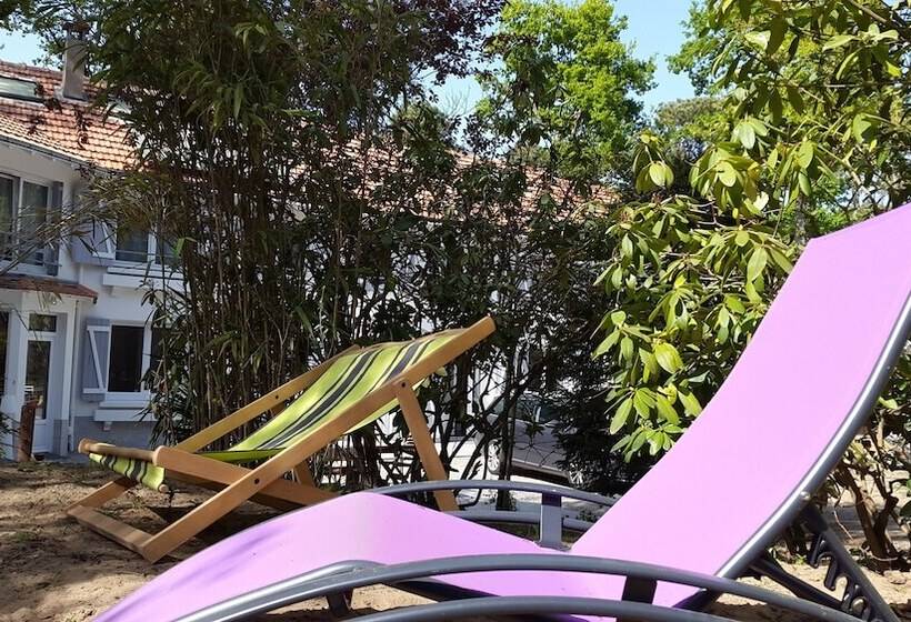 پانسیون Brevocean