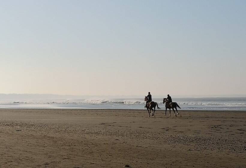 پانسیون Brevocean