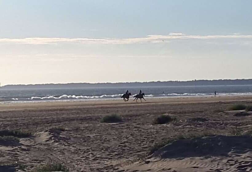 پانسیون Brevocean